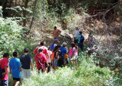 A group of hikers walking along a sunny, wooded hillside trail.