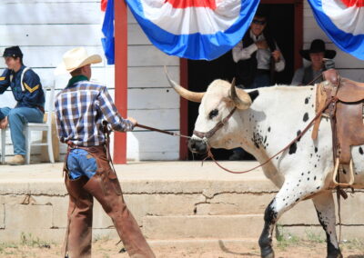Cowboy roping a spotted steer in a rodeo arena.