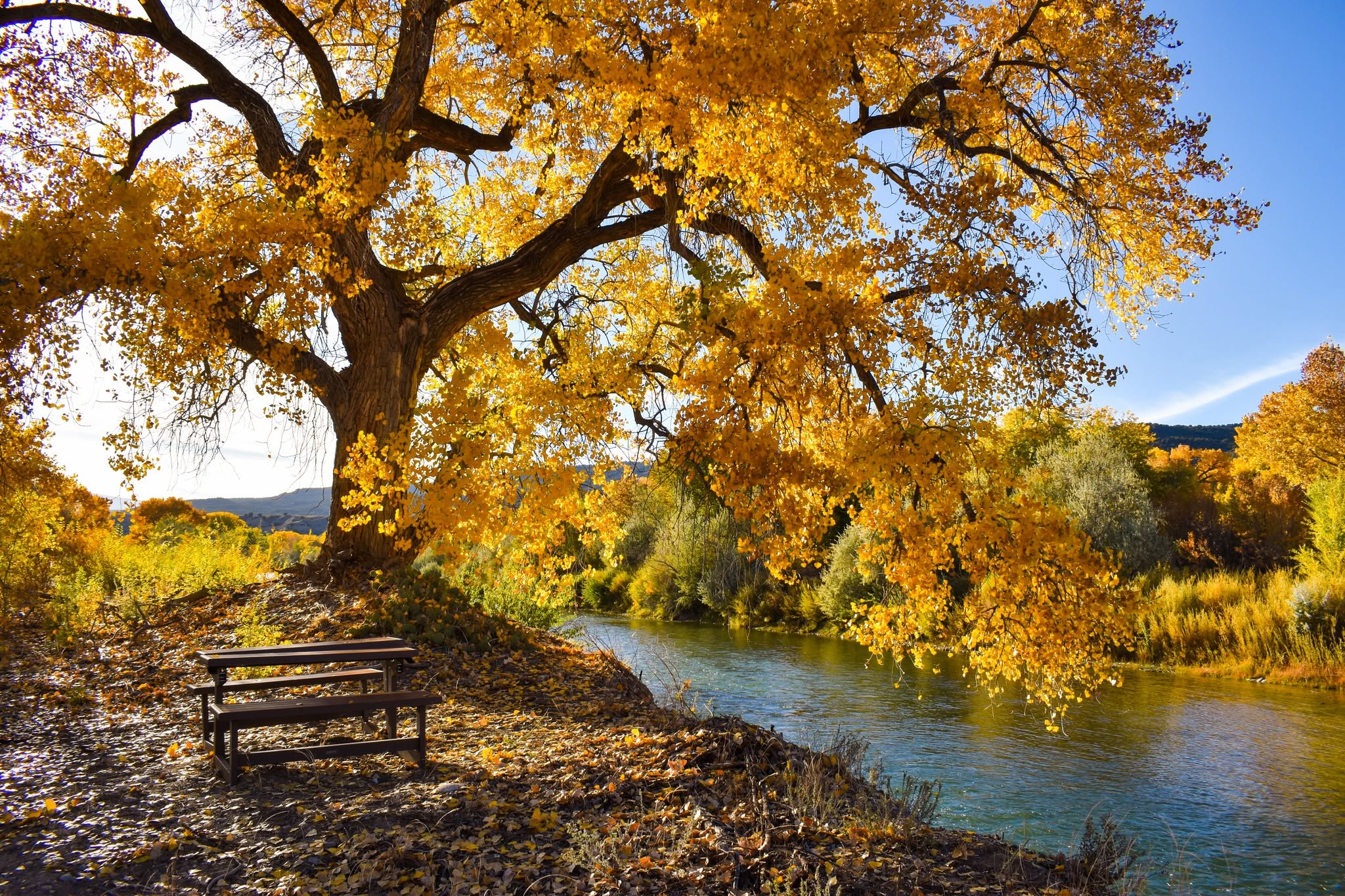 Los Luceros in the fall
